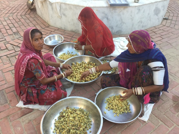 garden ladies pitting amla fruits 600